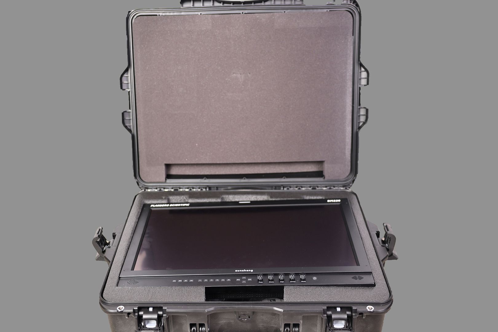 FSI DM220